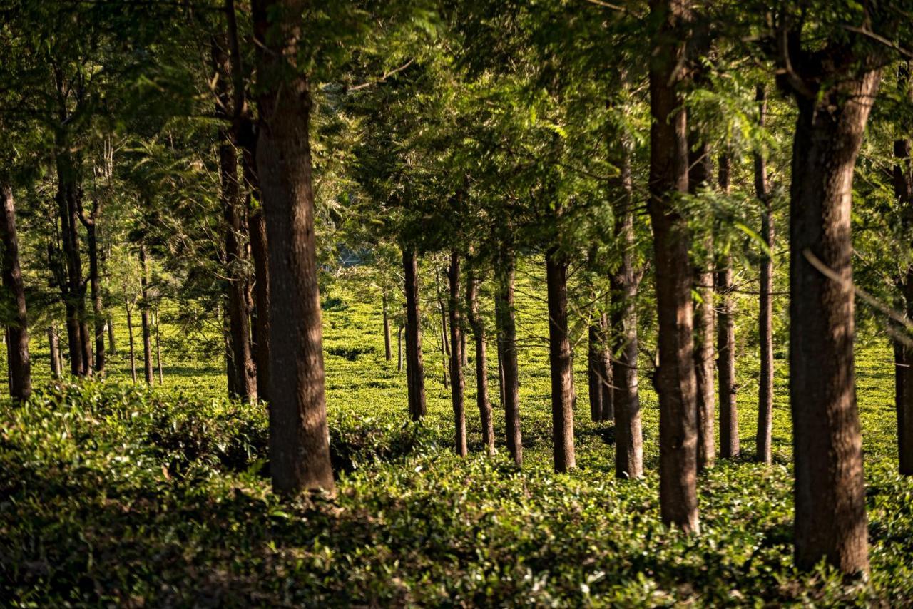Teanest Nightingale By Nature Resorts And Stays Kotagiri Exterior photo