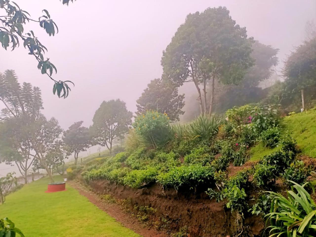 Teanest Nightingale By Nature Resorts And Stays Kotagiri Exterior photo